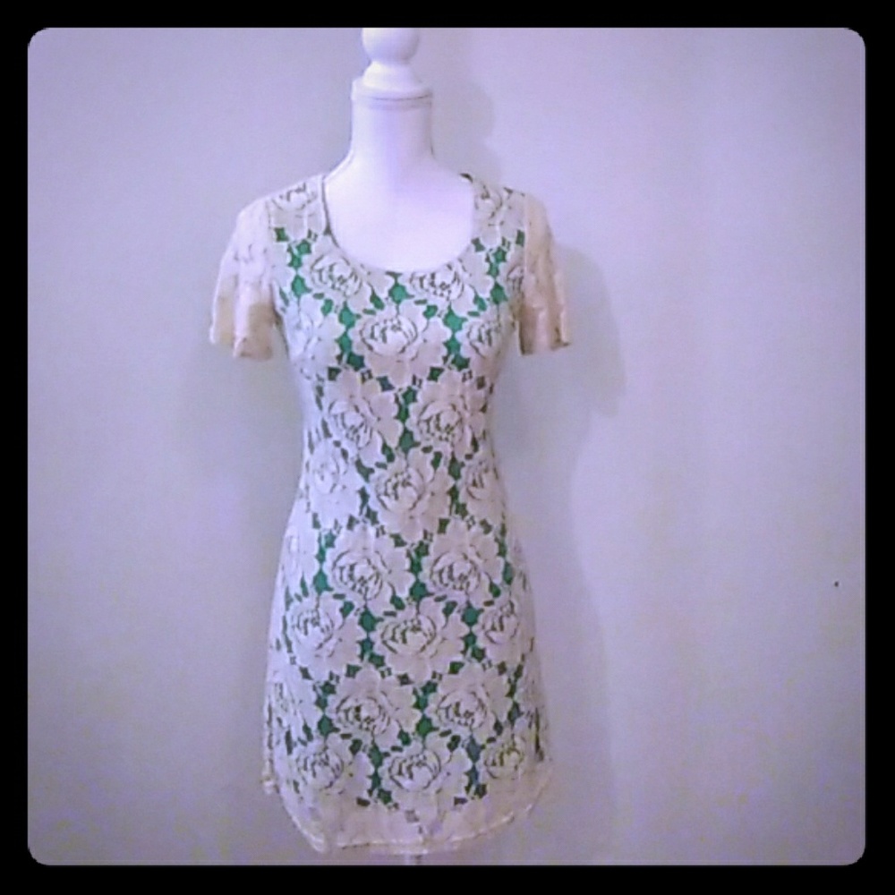 Francesca's Lace Overlay Dress